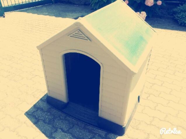 Gaietta Bed & Breakfast Frassineto Po ภายนอก รูปภาพ